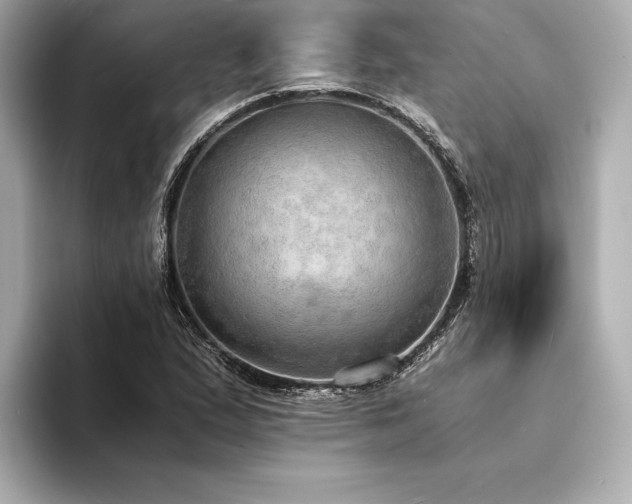 X0000094321167200711021346
