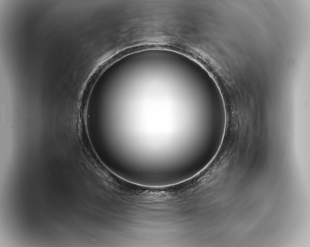 X0000094321168200711021346