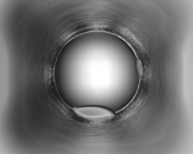 X0000094321169200711021346