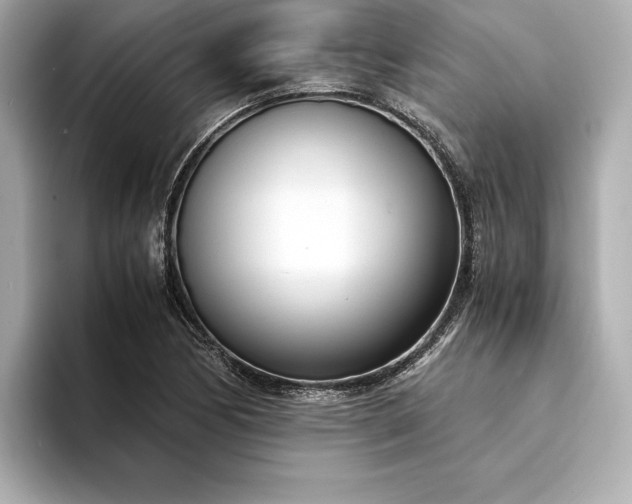 X0000094321170200711021346