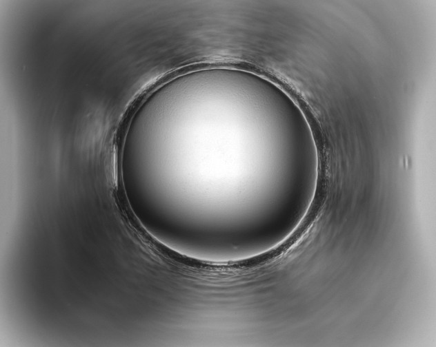 X0000094321171200711021346