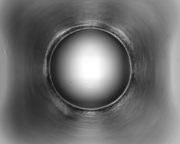 X0000094321172200711021346