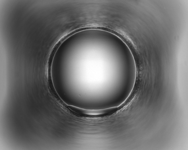X0000094321173200711021346