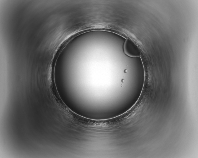 X0000094321174200711021346