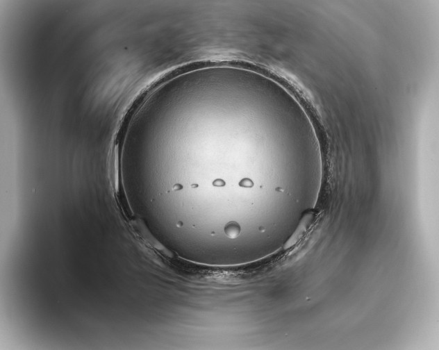 X0000094321175200711021346
