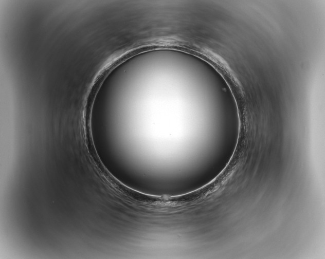 X0000094321176200711021346