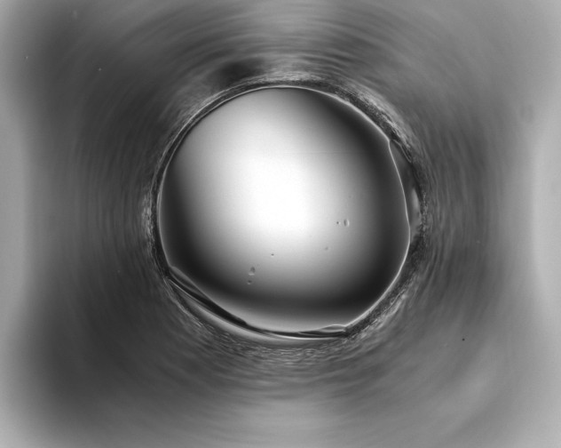X0000094321177200711021346