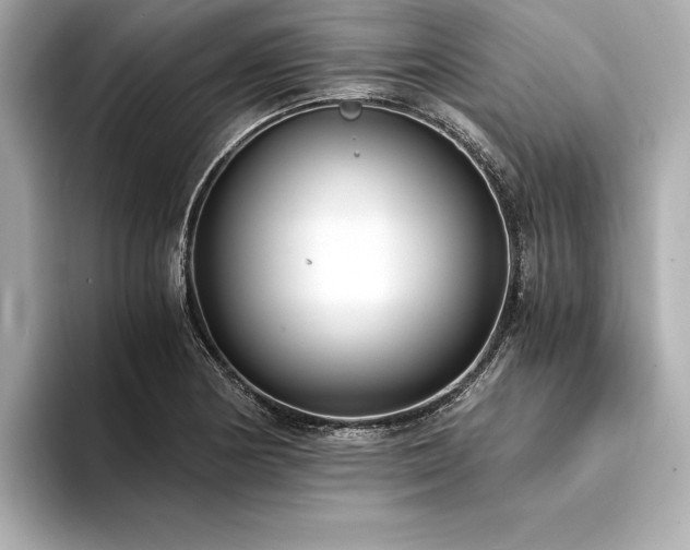 X0000094321178200711021346