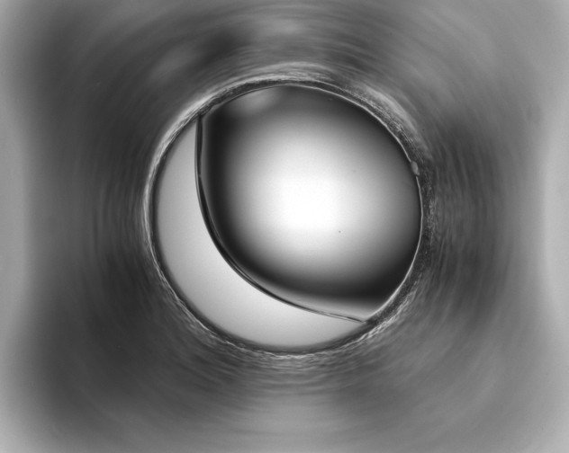 X0000094321180200711021346