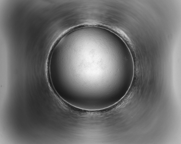 X0000094321183200711021346