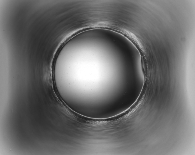 X0000094321184200711021346