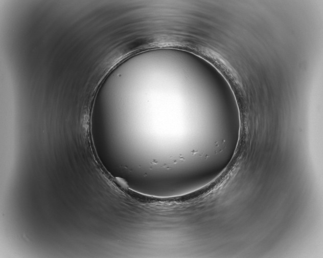 X0000094321185200711021346