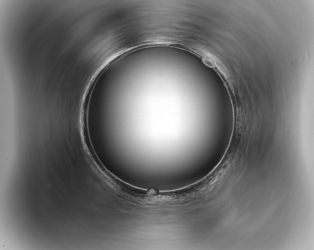 X0000094321187200711021346