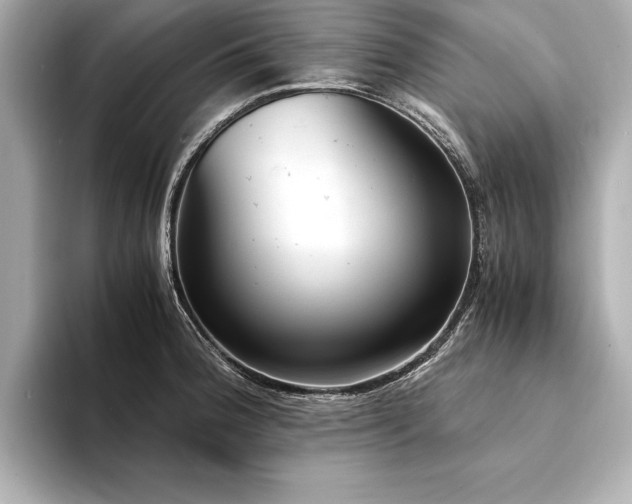X0000094321188200711021346