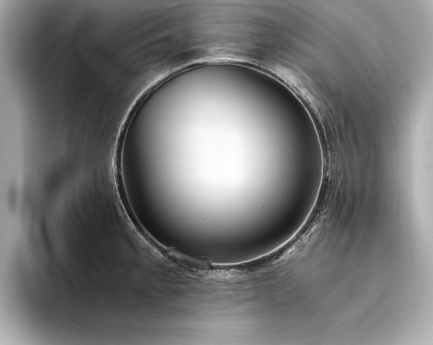 X0000094321189200711021346