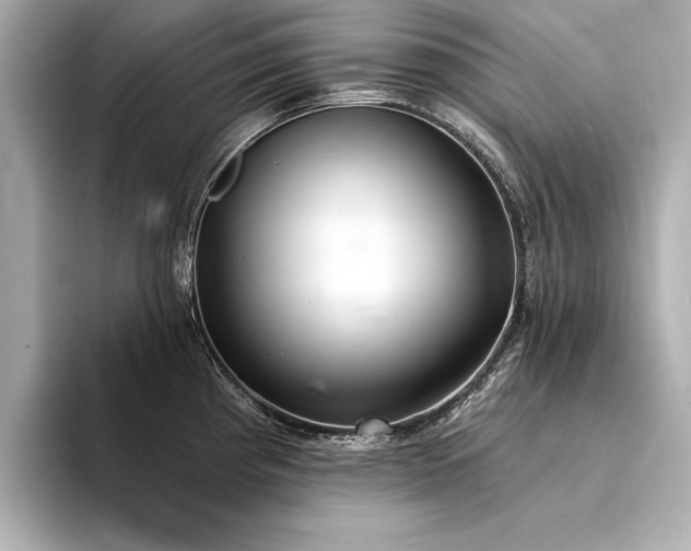 X0000094321193200711021346