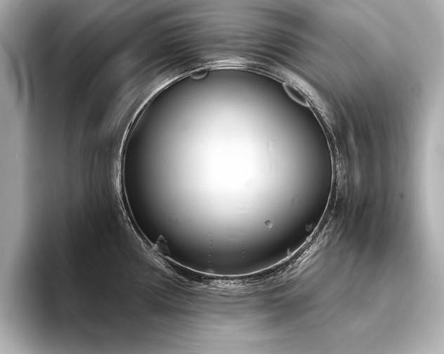 X0000094321194200711021346