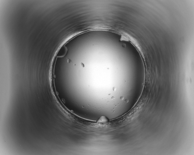 X0000094321195200711021346