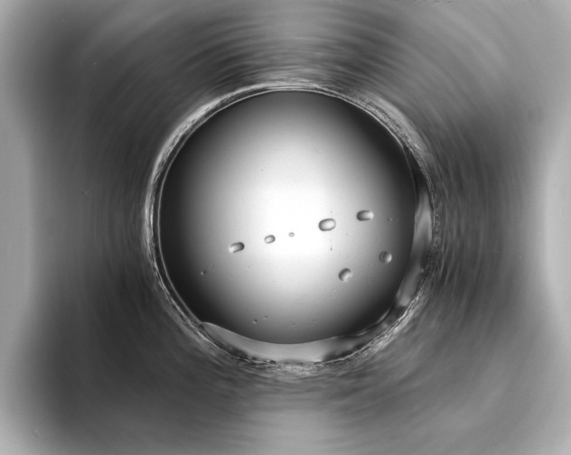 X0000094321196200711021346