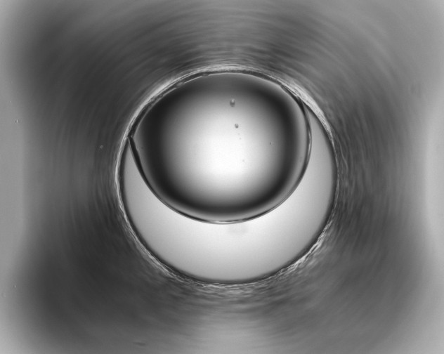 X0000094321197200711021346