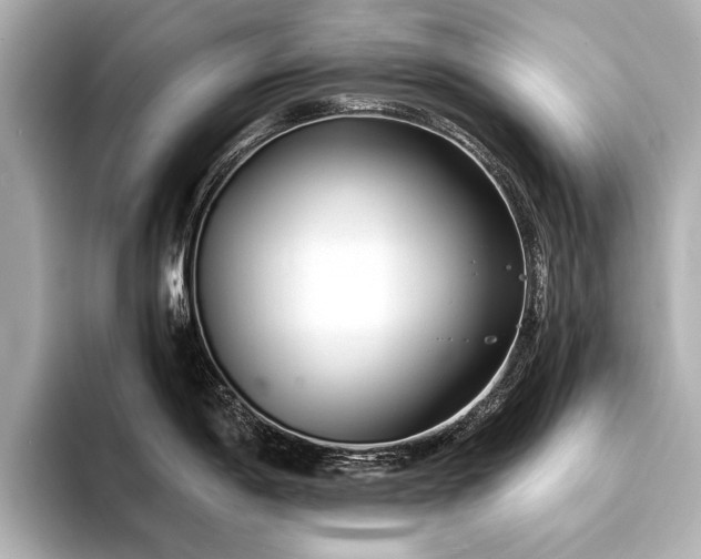 X0000094321198200711021346