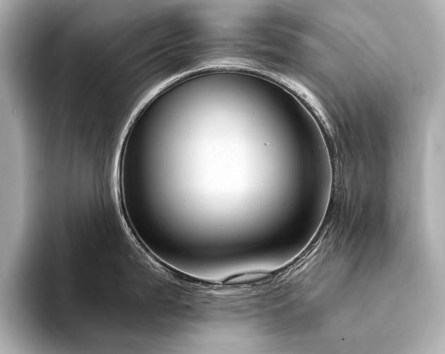 X0000094321199200711021346