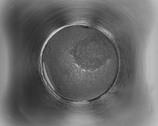 X0000094321200200711021346