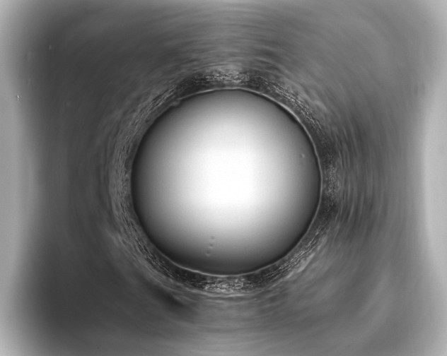 X0000094321201200711021345