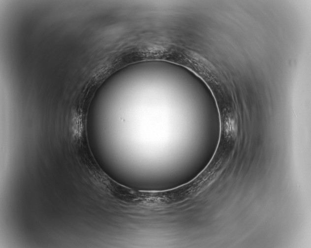 X0000094321204200711021345