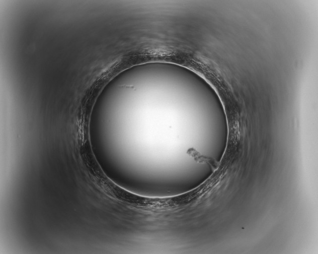 X0000094321205200711021345