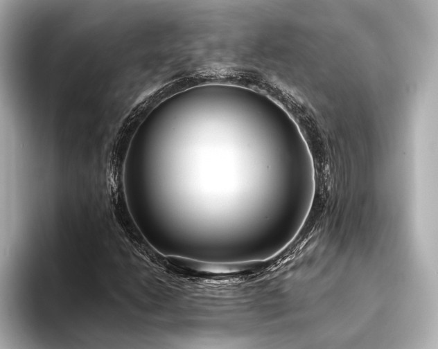 X0000094321206200711021345
