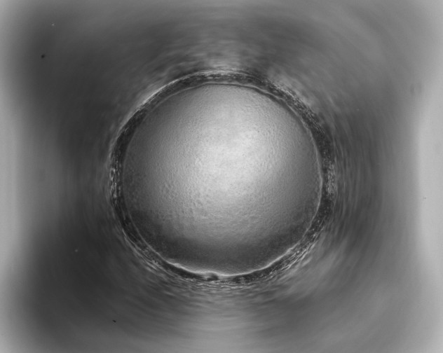 X0000094321208200711021345