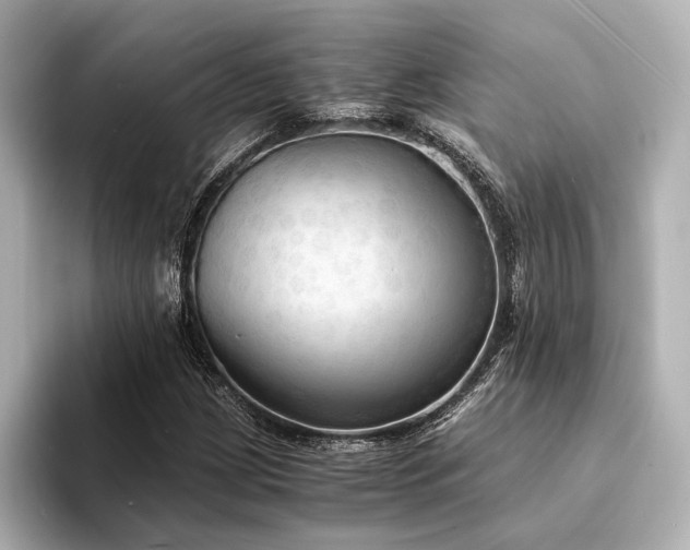X0000094321209200711021345