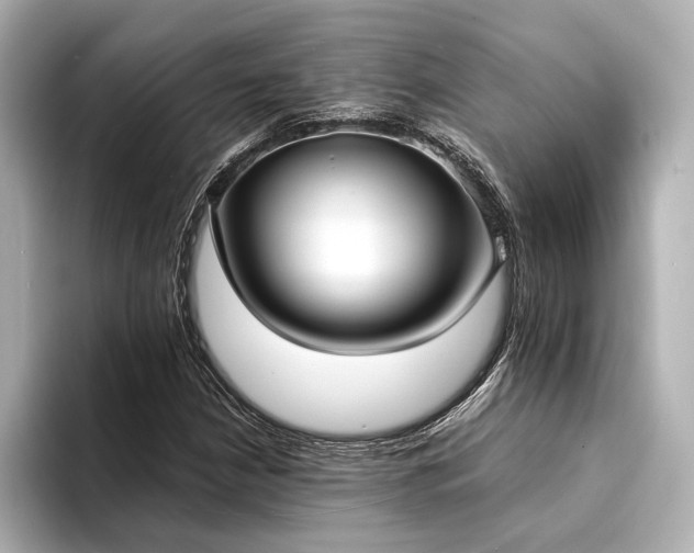 X0000094321210200711021345