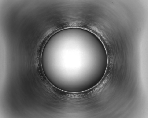 X0000094321211200711021345
