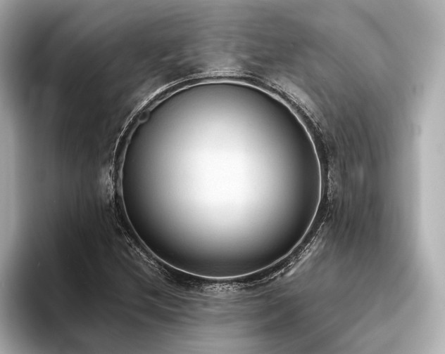 X0000094321212200711021345