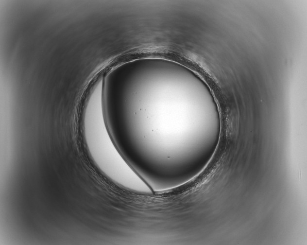 X0000094321213200711021345