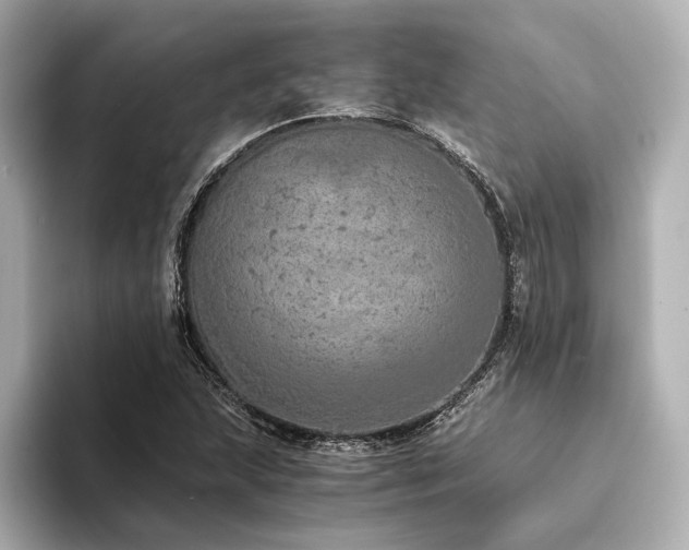 X0000094321215200711021345