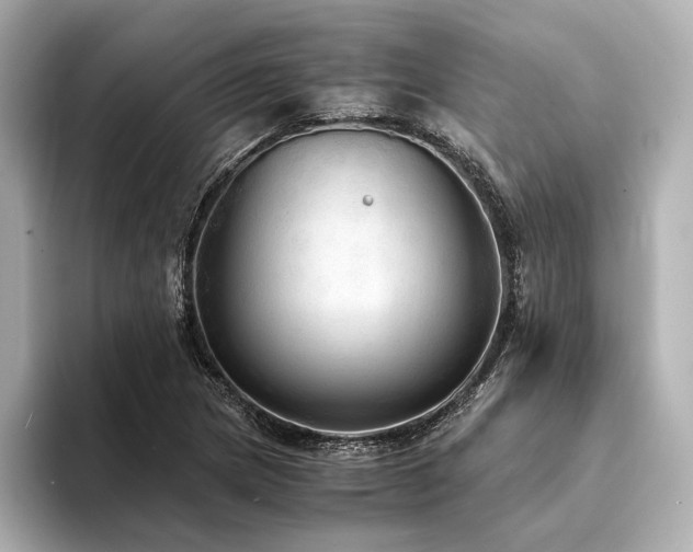 X0000094321217200711021346