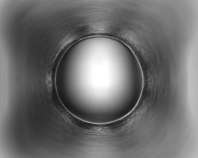 X0000094321218200711021346
