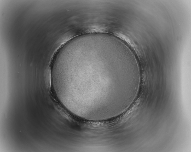 X0000094321219200711021346