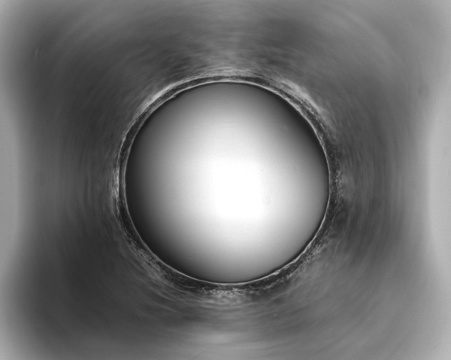 X0000094321220200711021346
