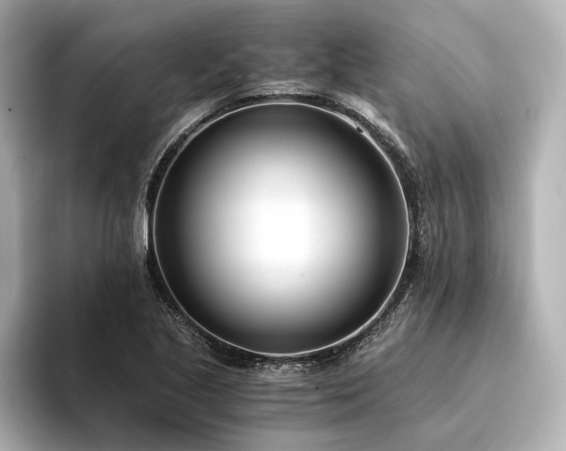 X0000094321221200711021346