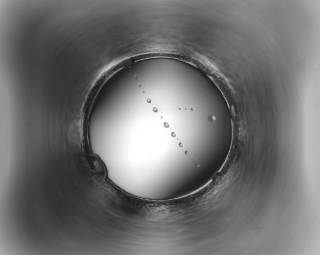 X0000094321222200711021346