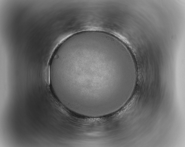 X0000094321223200711021346