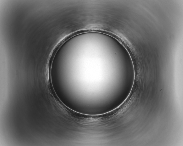 X0000094321224200711021346