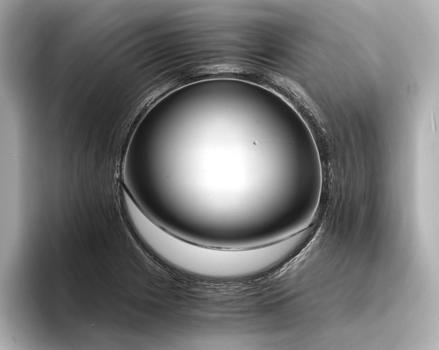 X0000094321225200711021346