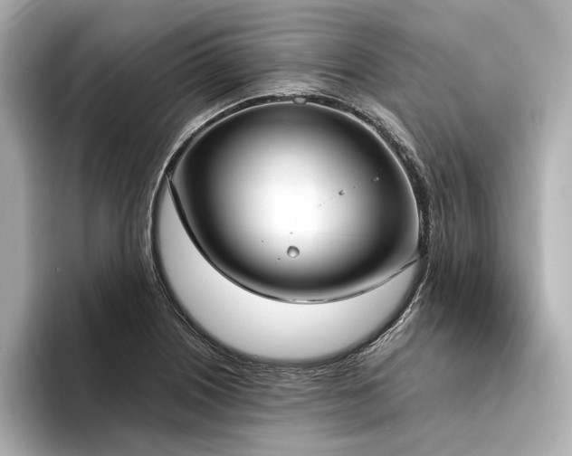 X0000094321226200711021346