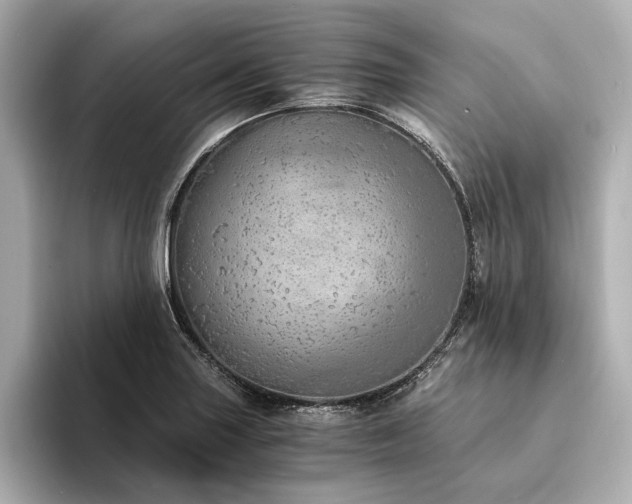 X0000094321227200711021346