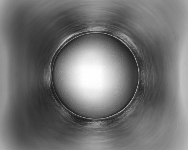 X0000094321228200711021346